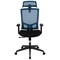 Emma and Oliver Ergonomic Mesh Office Chair-Synchro-Tilt, Pivot Headrest, Adjustable Arms